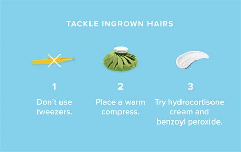 The No Bs Guide To Grooming Your Pubic Hair