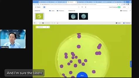 Visual Prompting Live Demo With Andrew Ng Youtube