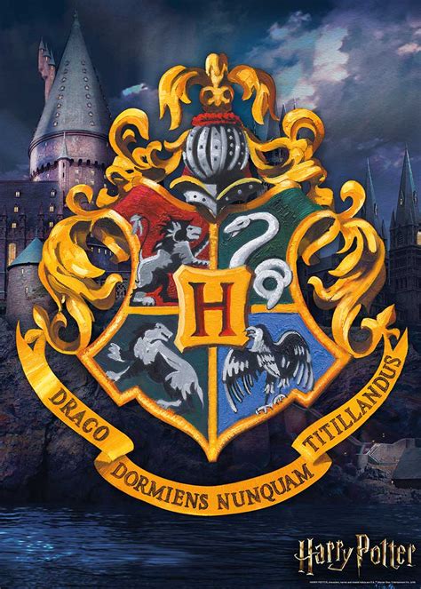 Check spelling or type a new query. Harry Potter Hogwarts Logo, 1000 Pieces, Aquarius | Puzzle ...
