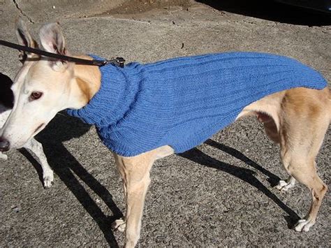 2020 popular 1 trends in home & garden, women's clothing, men's clothing, mother & kids with knitting dog coats and 1. Fashion dog | Dog sweaters, Pet sweaters, Doggie style