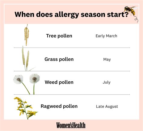 When Does Allergy Season 2021 Startu2014and When Should I Start Taking