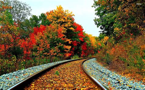 Autumn And Railroad Tracks Wallpapers Wallpaper Cave