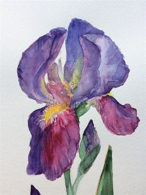 Iris Watercolor Painting Iris Flower Painting Floral Etsy