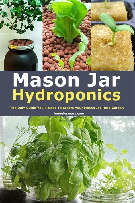 8 Steps Mason Jar Hydroponics Ultimate Guide To Create Your Indoor