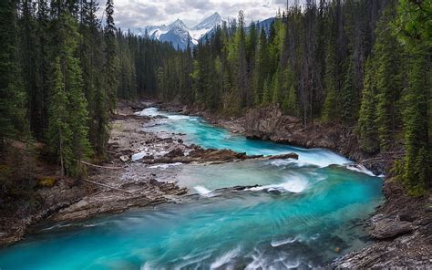 Mountain River Forest Mountain Landscape Beautiful Landscape Canada