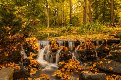 Free Images Tree Forest Rock Waterfall Wilderness Leaf Fall