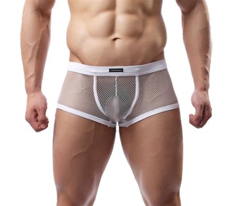 Buy Mens Sexy Boxer Briefs Mesh Pants Sheer See Through Underwear Underpants C24 Online At