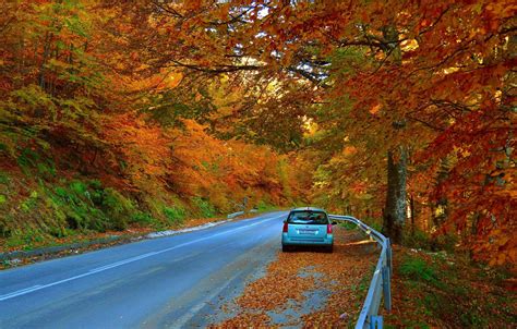 Autumn Fall Leaf Car Wallpaper