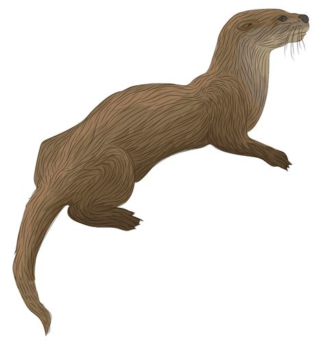 river otter clipart 10 free Cliparts | Download images on Clipground 2021 png image