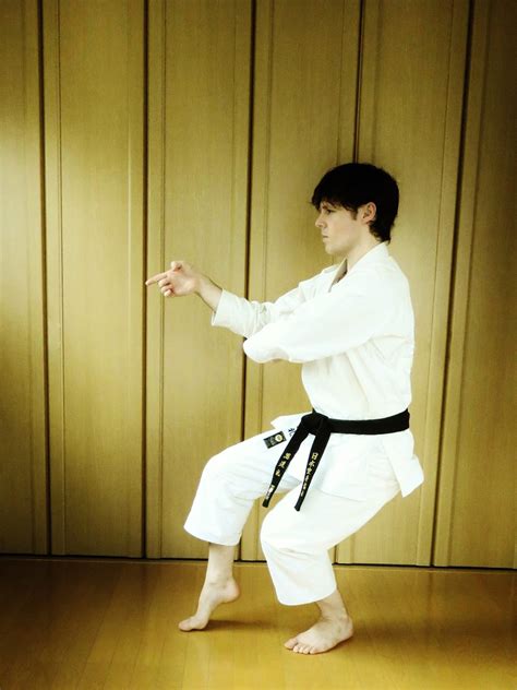 Best Of Shotokan Karate Kata Gojushiho Dai Gojushiho Sho Shotokan