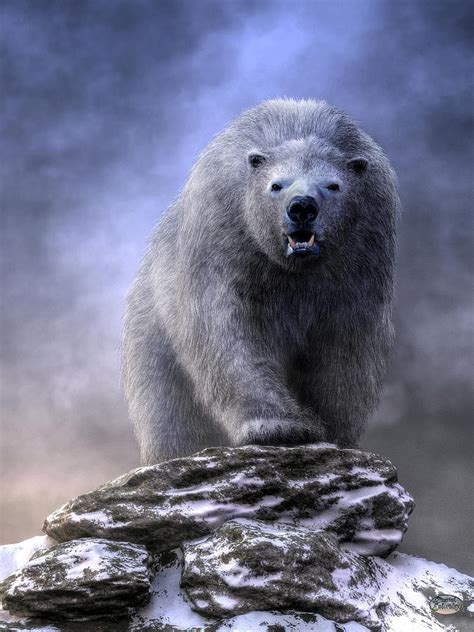 King Polar Bear Digital Art By Daniel Eskridge Fine Art America