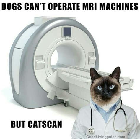 Pin By Dan Welcher On This Is Funny Medical Jokes Mri Humor
