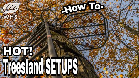 2 Hot Treestand Setups For Bowhunting Big Bucks