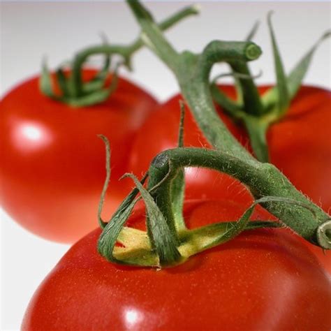 How To Know Tomato Allergy Symptoms Healthy Living