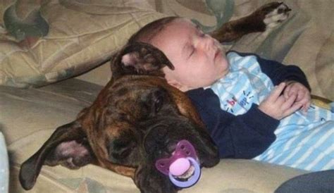 Pictures That Prove Kids Can Fall Asleep Anywhere 25 Pics