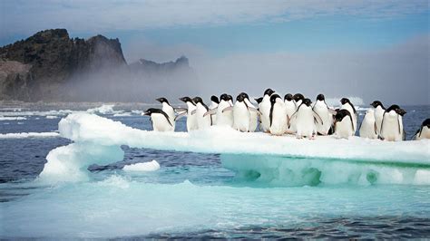 Antarctica Bing Wallpaper Download