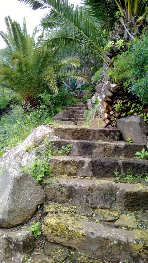 Gran canaria ist eine schöne insel, es gibt sicher andere und deutlich bessere häuser! Jardin Canario, Gran Canaria