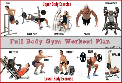The Best Full Body Gym Workout Guide By MP By MP Issuu