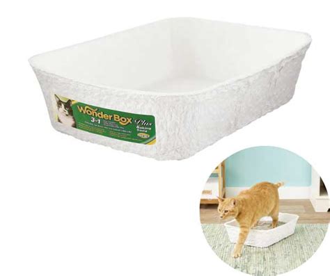 8 Best Disposable Litter Box For Travel In 2022 Expert Reviews