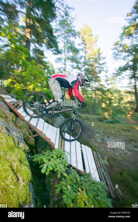 Sweden Vastergotland Lerum Mountain Biker Riding Through Forest