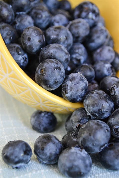 Free Images Fruit Berry Food Produce Blueberry Breakfast