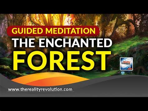 Guided Meditation The Enchanted Forest