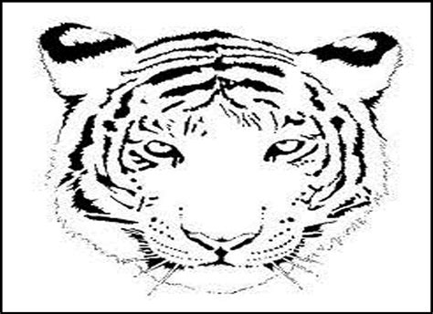 Tiger Face Outline Drawing At Getdrawings Free Download