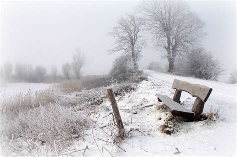 Winter Bench Snow Trees Seasons Landscape Wallpapers Hd Desktop