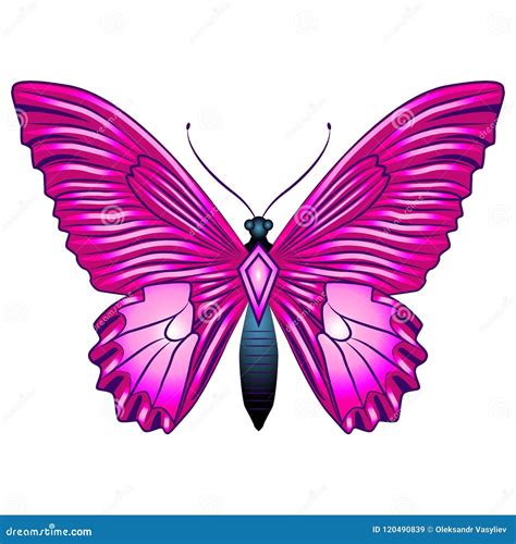 Bright Beautiful Butterfly Vector Illustration Isolated Stock Vector