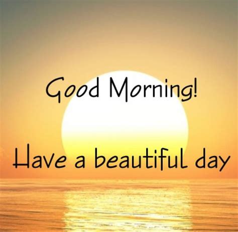 8 good morning my sunshine quotes; 110 Have a Great Day Quotes, Sayings, Images to Inspire You