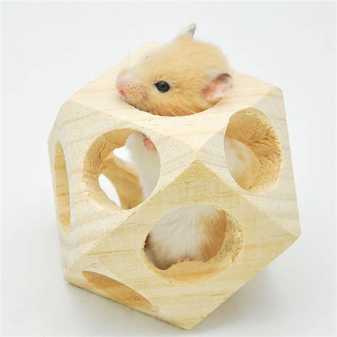 Pin On Hamster Toys