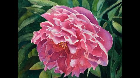 Part 6 Painting a Pink Peony Details Details Details and ...