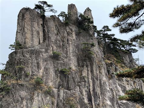 Free Picture Big Rocks Cliff Vertical Tree Mountain Landscape