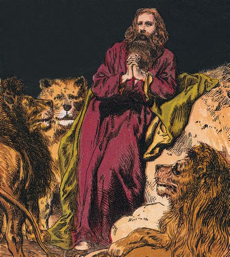 Daniel In The Lions Den Drawing By English School