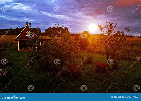 Country House At Sunset Stock Photo Image Of Rain Flowers 10568086