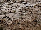 [100+] Mud Backgrounds | Wallpapers.com