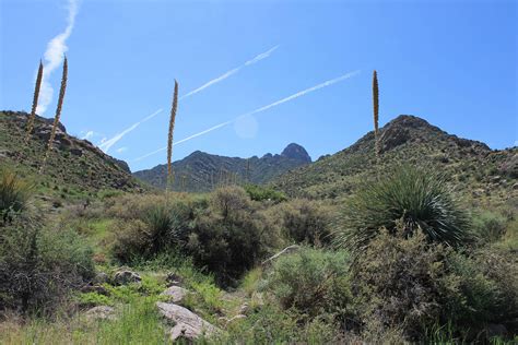Baylors Pass, Las Cruces : NewMexico