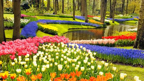 Keukenhof Gardens And Tulip Fields Tour From Amsterdam Youtube