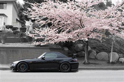 Gotta Love Cherry Blossoms With Jdm Cars 🌸 Rjdm
