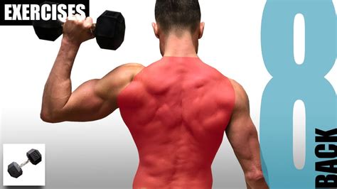 Hudobno Gripa Sladica Dumbbell Back Edimap Org