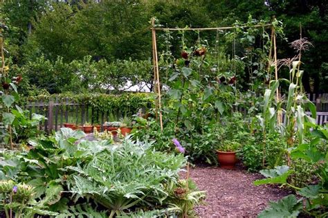 Potager Garden Style Combining Edible And Flowering Plants In The French