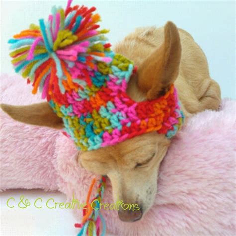 Crazy Funky Dog Hat Pet Hat Cat Hat Dog By Cccreativecreations