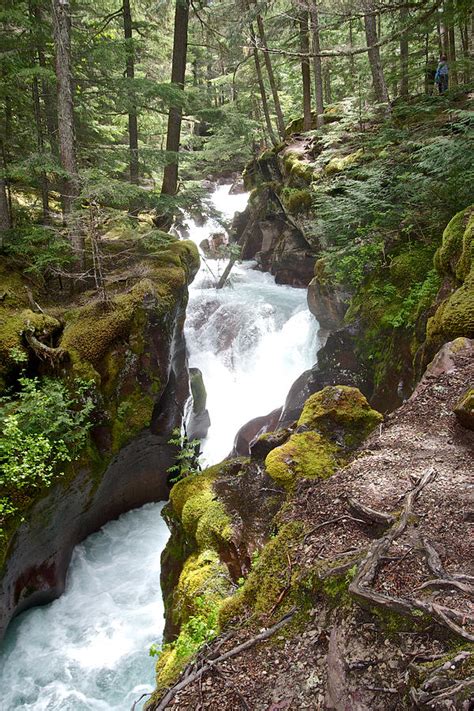 Avalanche Creek In Glacier National Park Montana Photograph By Ruth