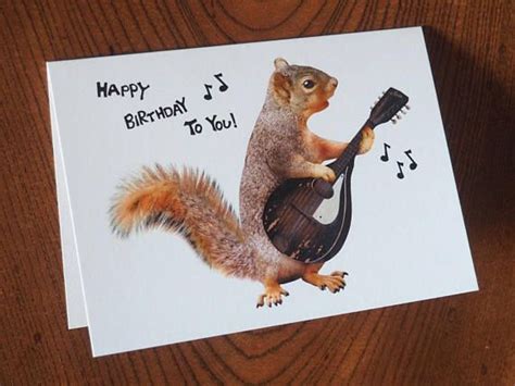 Squirrel Playing Mandolin Birthday Card Etsy Birthday Cards