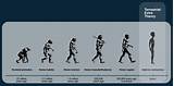 Theory Evolution Of Earth Photos