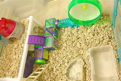 Homemade Hamster Cages Homemade Hamster Cage Accessories Small