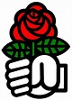 Bol de culture: Pourquoi la rose est-elle le symbole du Parti Socialiste