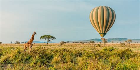 follow your passion the benefits of traveling marriott bonvoy traveler tanzania safari