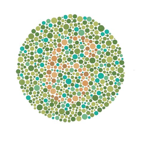 Animals That Are Colour Blind