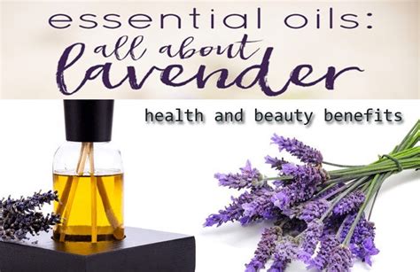 15 Lavender Essential Oil Uses And Health And Beauty Benefits